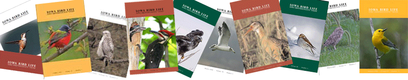Iowa Bird Life