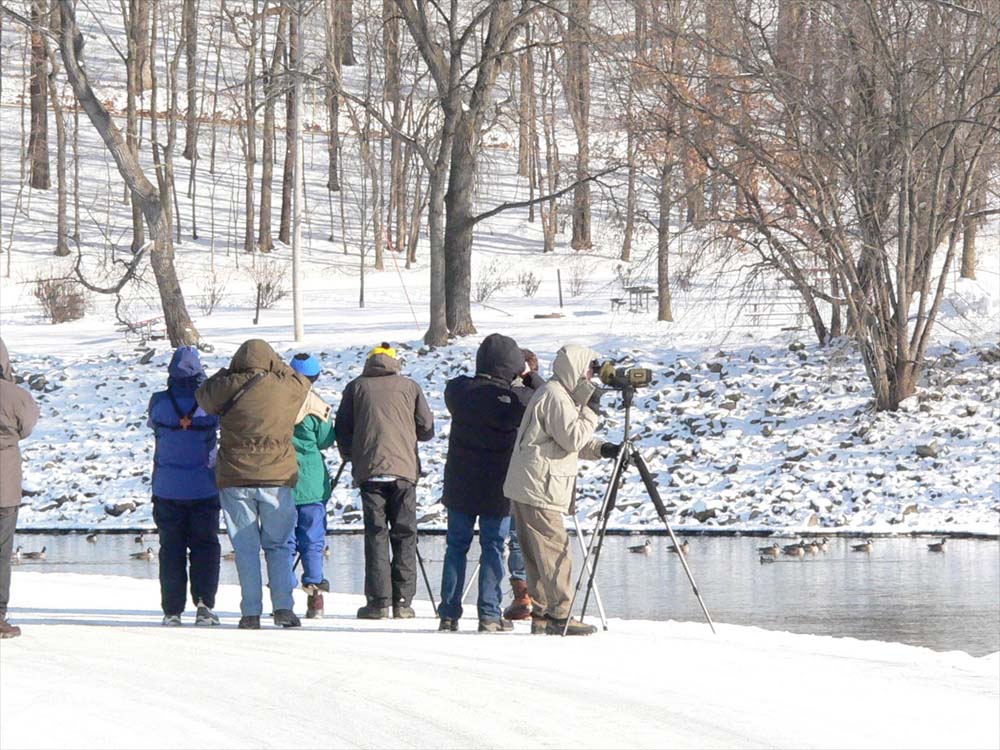 Iowa City Christmas Bird Count Photo by Rick Hollis