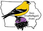 Iowa Ornithologists' Union Iowa Ornithologists' Union