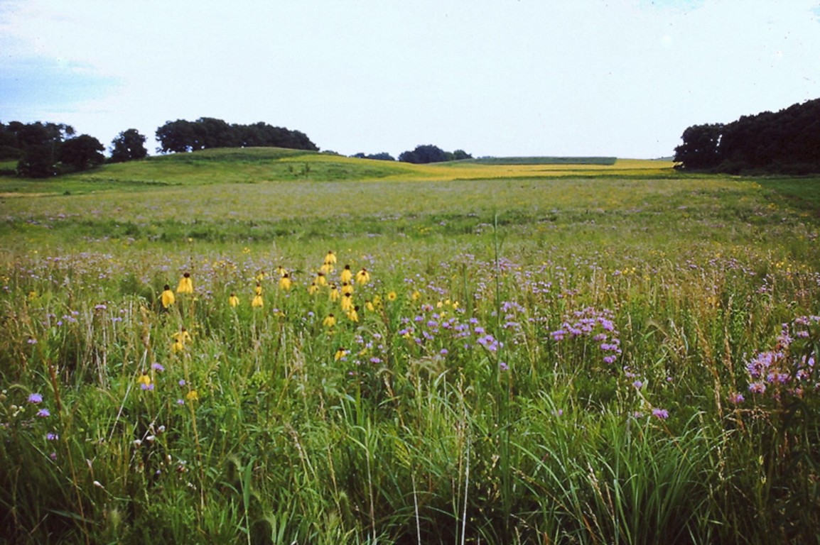 Union Hills WMA photo by Doug Harr